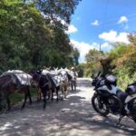 motorcycle tours